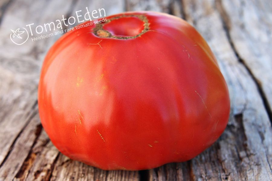 Sicilian Slicer Seeds of Tomatoes Heirloom TomatoEden Site